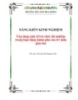Sáng kiến kinh nghiệm: Ứng dụng một số trò chơi, thí nghiệm trong hoạt động khám phá của trẻ mẫu giáo lớn