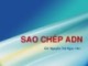 Bài giảng Sinh học phân tử: Sao chép ADN - Nguyễn Thị Ngọc Yến
