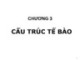 Bài giảng Sinh học đại cương (Phần 1): Chương 3 - ThS. Võ Thanh Phúc