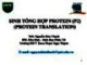 Bài giảng Hóa sinh - Bài: Sinh tổng hợp protein (Protein translation) - Phần 2