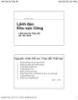 Bài giảng Lãnh đạo khu vực công: Lãnh đạo sự thay đổi - Nguyễn Hữu Lam