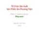 Bài giảng Tổ chức sản xuất sản phẩm đa phương tiện: Tổng quan