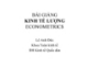 Bài giảng Kinh tế lượng: Chương 1  - Lê Anh Đức